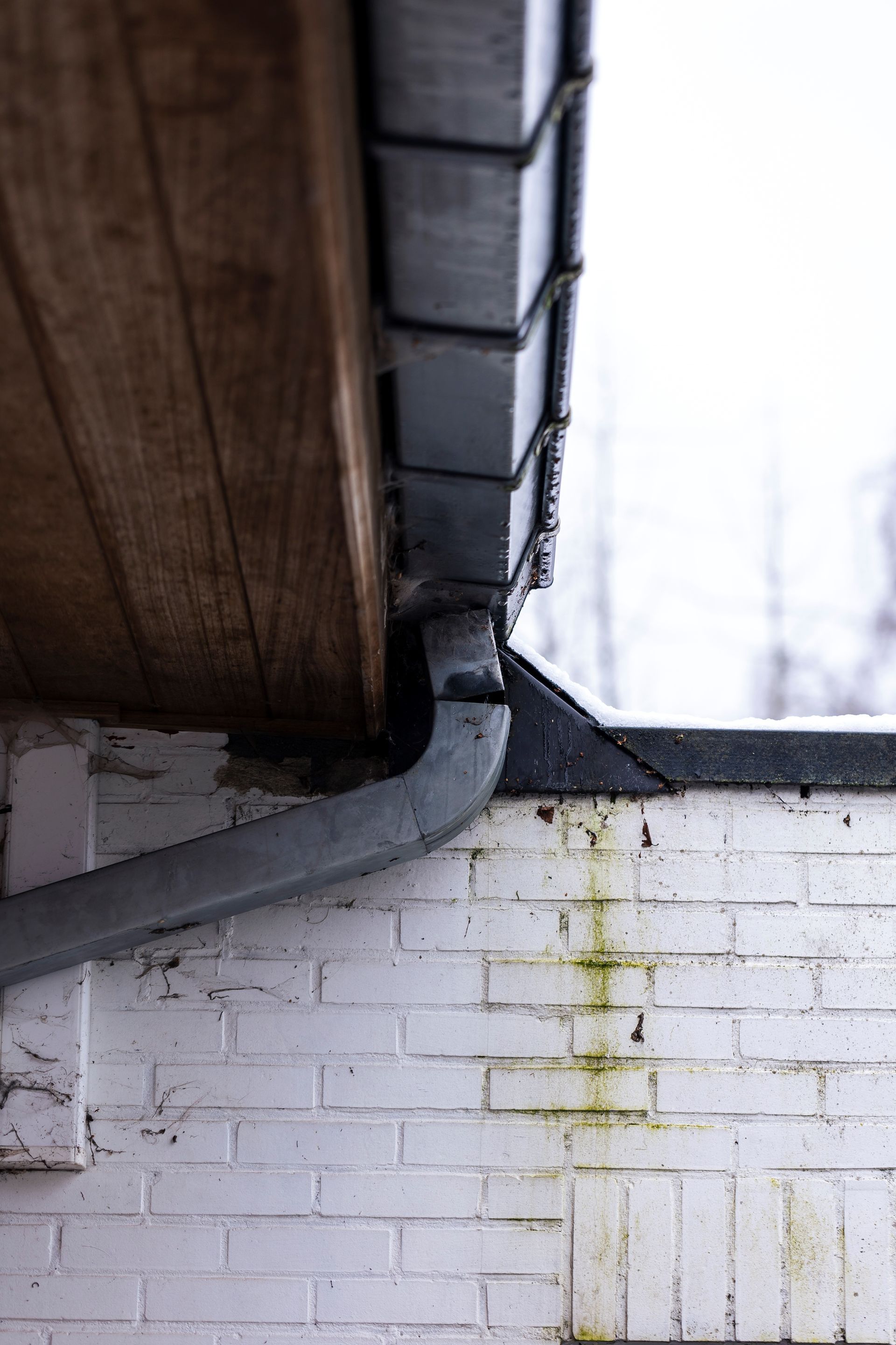 Person cleaning a roof gutter with a hose, standing on a ladder beside a house