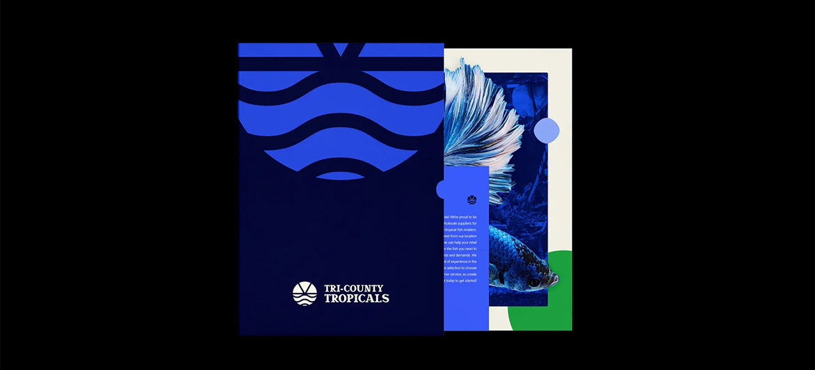 A modern graphic design featuring a stylized blue wave pattern, a betta fish, and the text