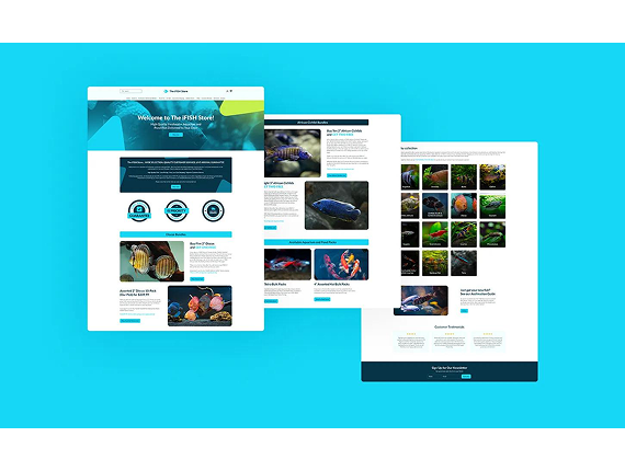 Three web page layouts displaying aquariums and fish, presented against a solid blue background.