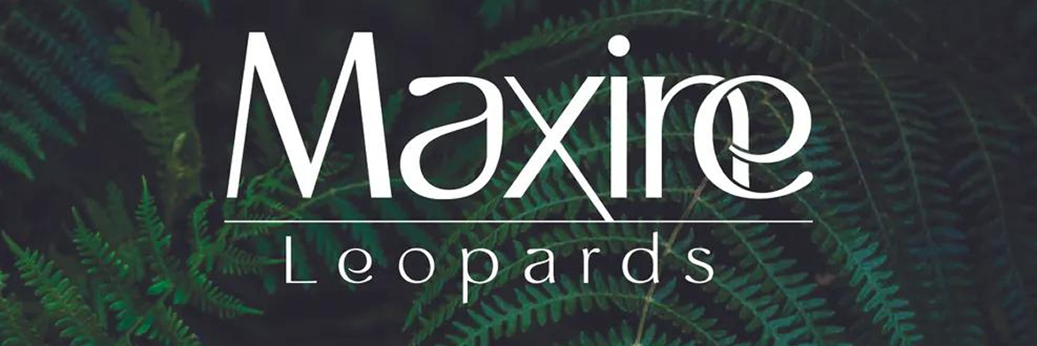 Logo with the white text