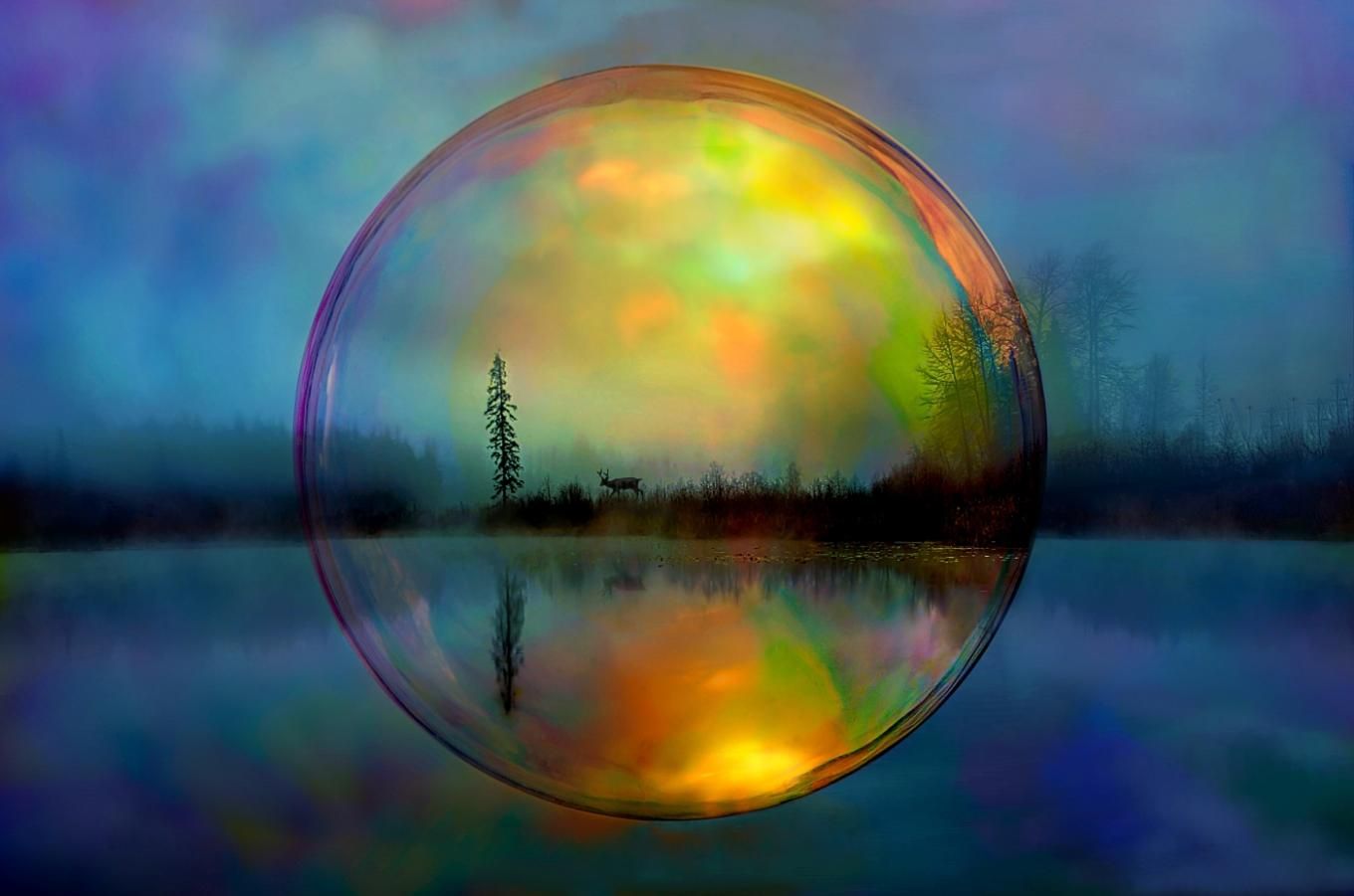 CAPA Photo Salon 2025 - Open Colour Winners