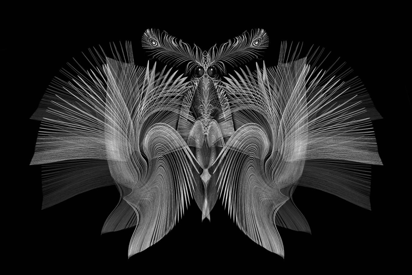 CAPA Photo Salon 2025 - Open Monochrome Winners