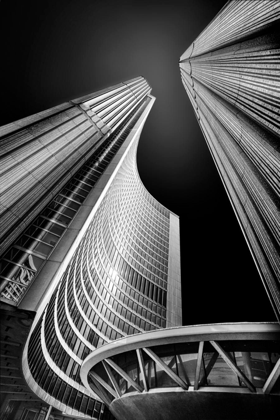 CAPA Digital Salon 2024 - Open Monochrome Winners