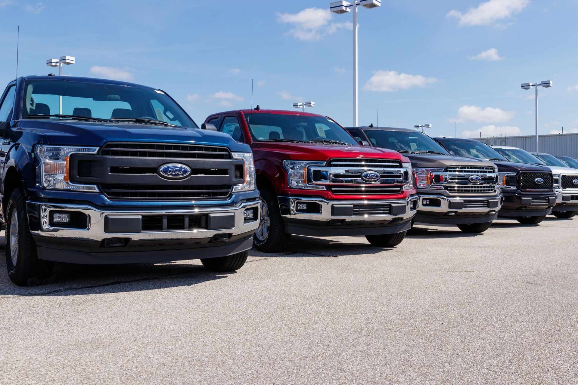 Line of new Ford pickup trucks in various colors on a sunny car lot.