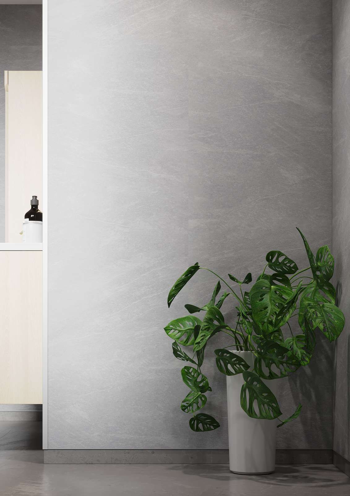 Gray wall with a leafy houseplant in a cylindrical pot. Light-colored cabinet visible in the corner.