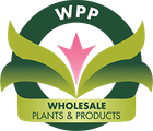 Wholesale Plants & Products Pty Ltd Wholesale Plants & Products Pty Ltd