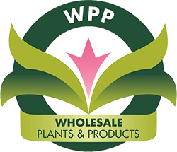 Wholesale Plants & Products Pty Ltd Wholesale Plants & Products Pty Ltd