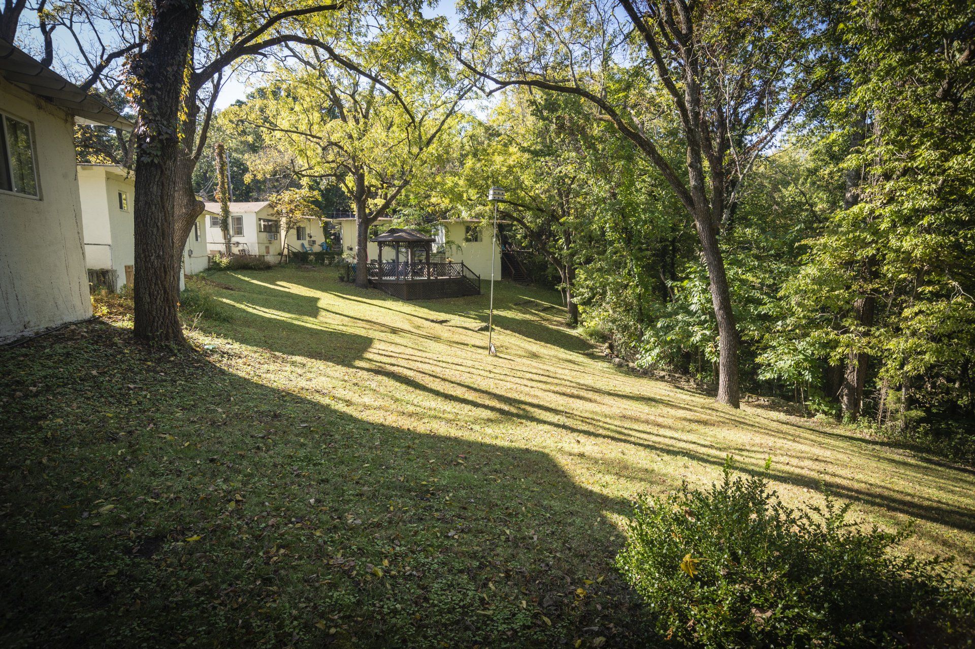 Backyard Area