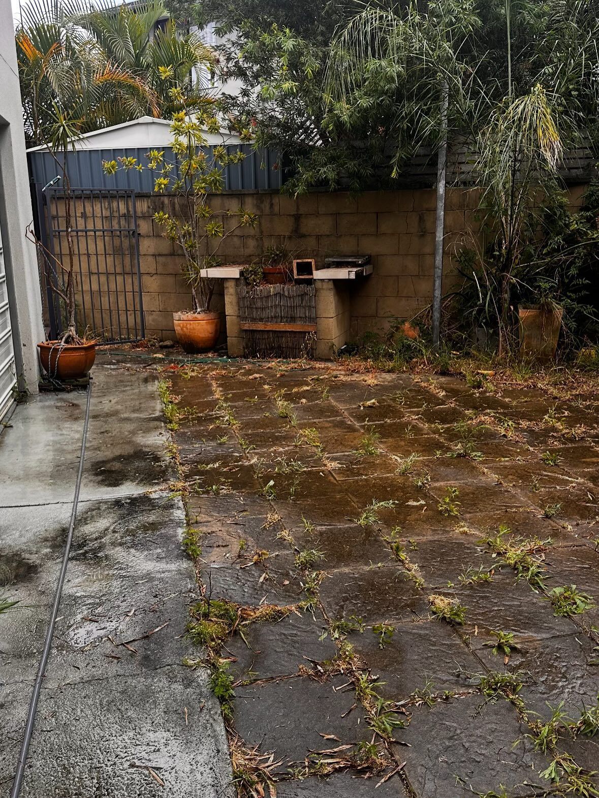 A Backyard Patio With Mossy, Weed-filled Pavers, a Stone Table, and Potted Plants — Coastal Pressure Solutions in Oxenford, QLD