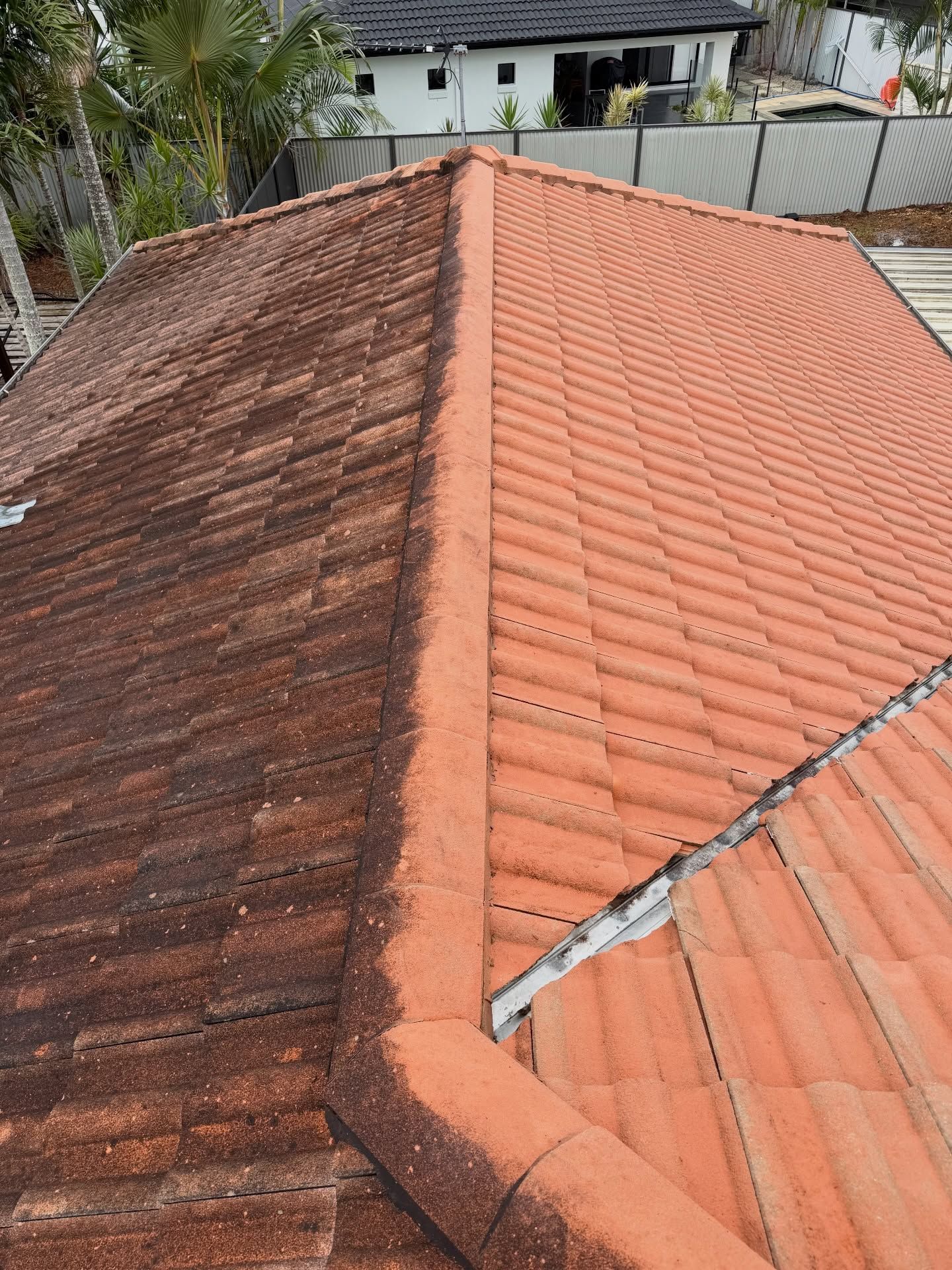 Red Tile Roof, Half Cleaned — Coastal Pressure Solutions in Oxenford, QLD