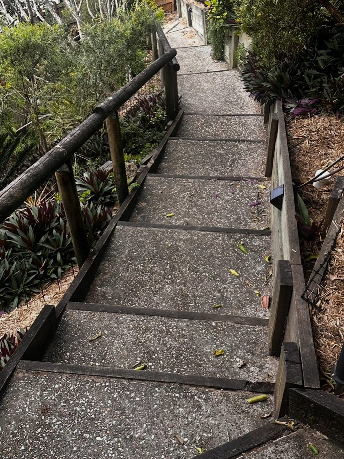 A Before High-angle View of Outdoor Concrete Stairs — Coastal Pressure Solutions in Oxenford, QLD