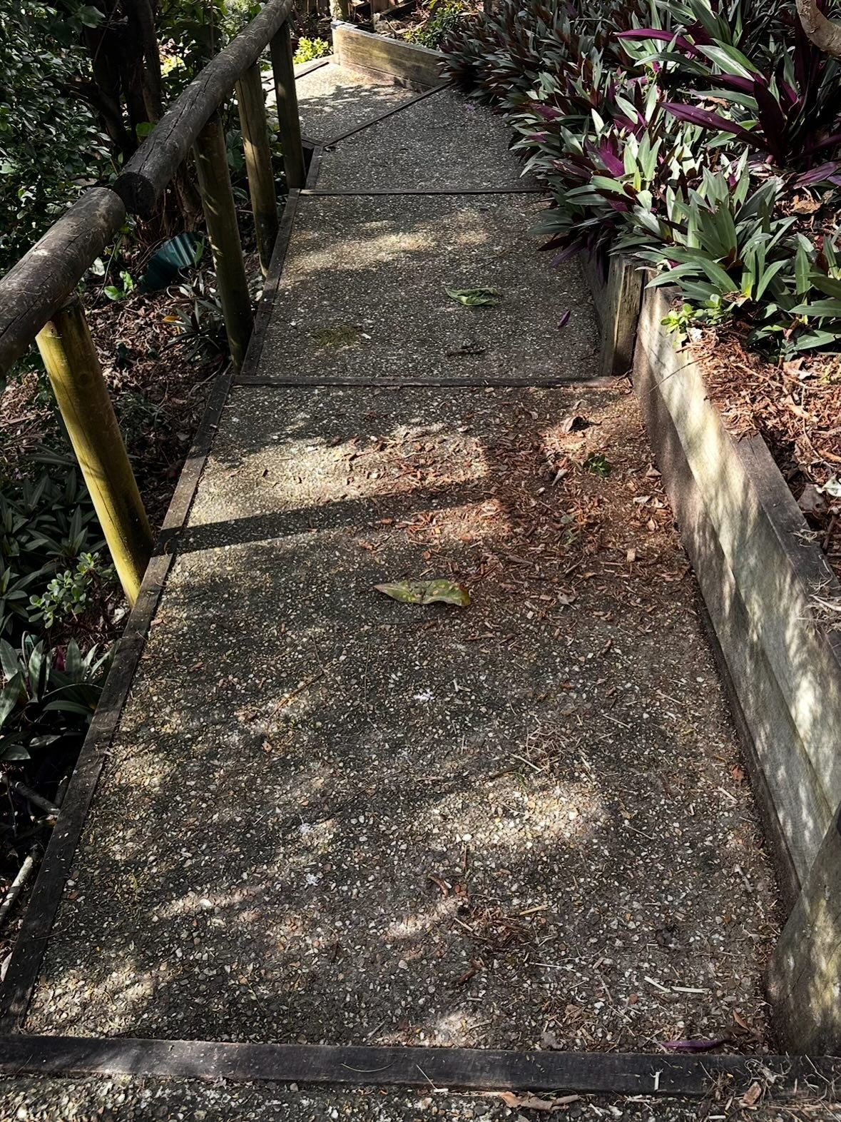 A Downward View of Outdoor Concrete Stairs — Coastal Pressure Solutions in Oxenford, QLD