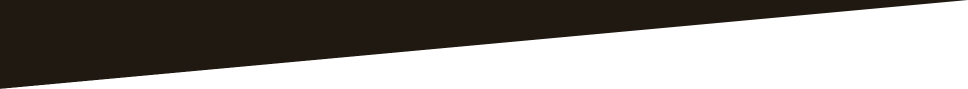 Forma diagonale marrone scuro con sfondo bianco.