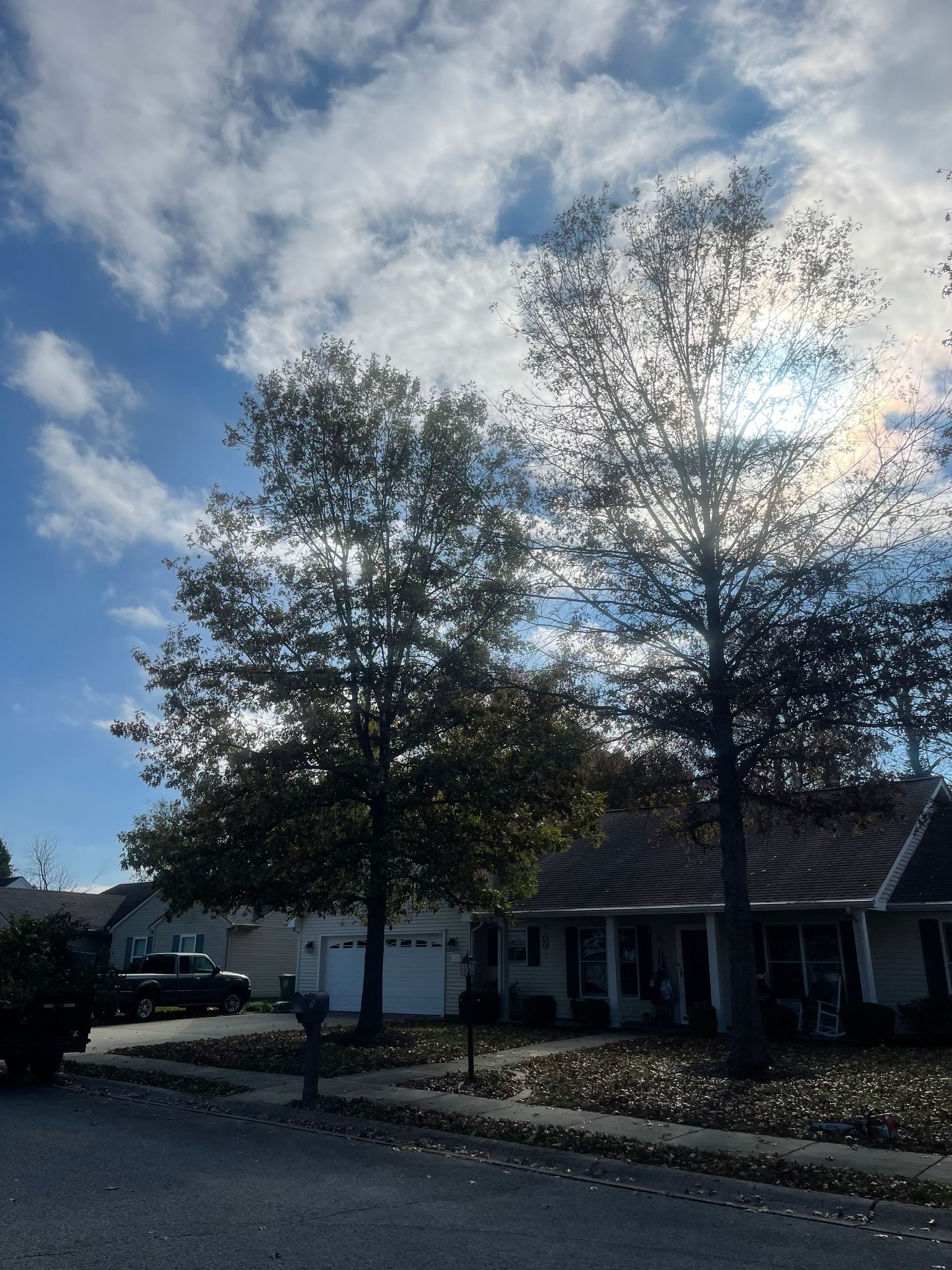 The sun is shining through the trees in front of a house