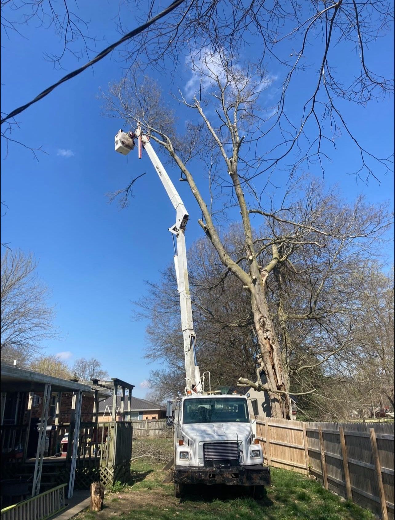 A white truck with a crane attached to it is cutting a tree.