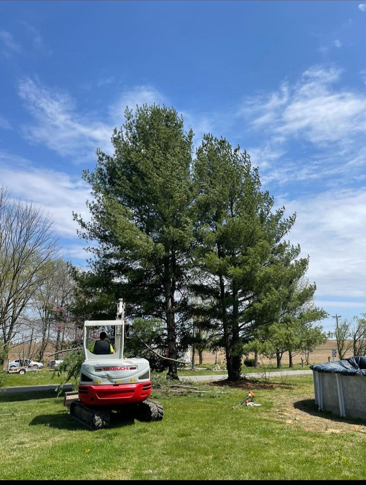 A small red and white excavator is parked in front of a large pine tree.