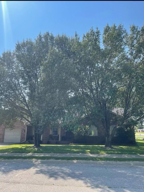 A house with a lot of trees in front of it