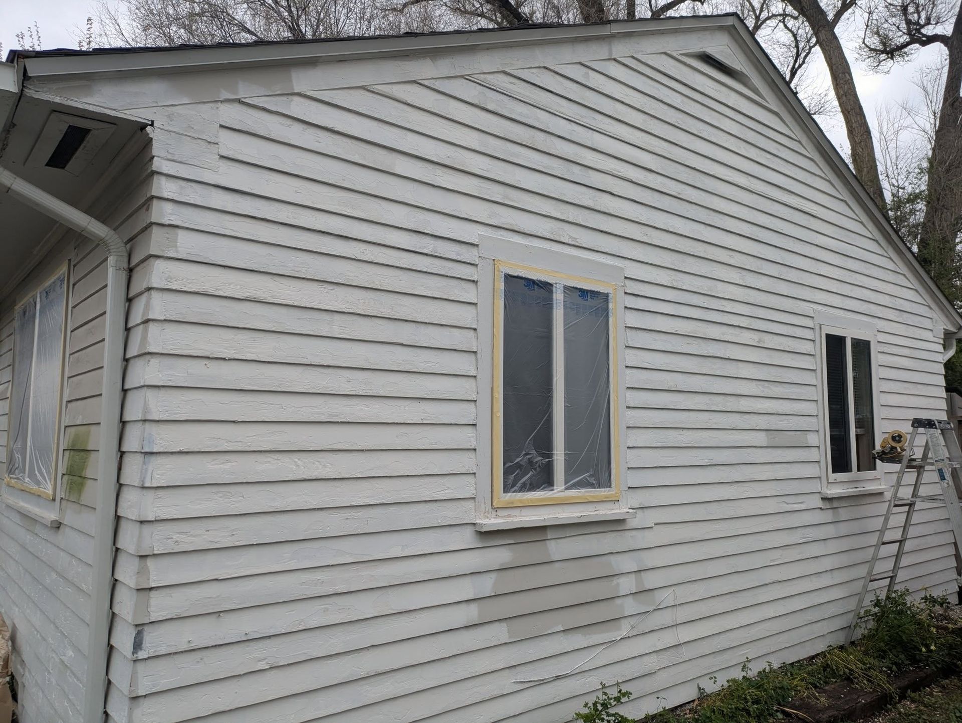 White-sided house exterior with two windows and a ladder leaning against the right side