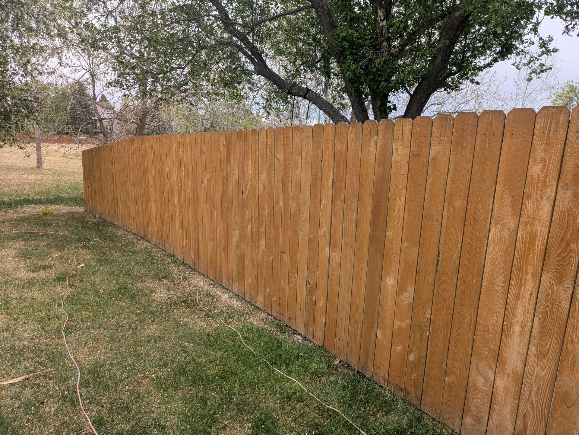 Long wooden fence across a grassy yard with trees in the background