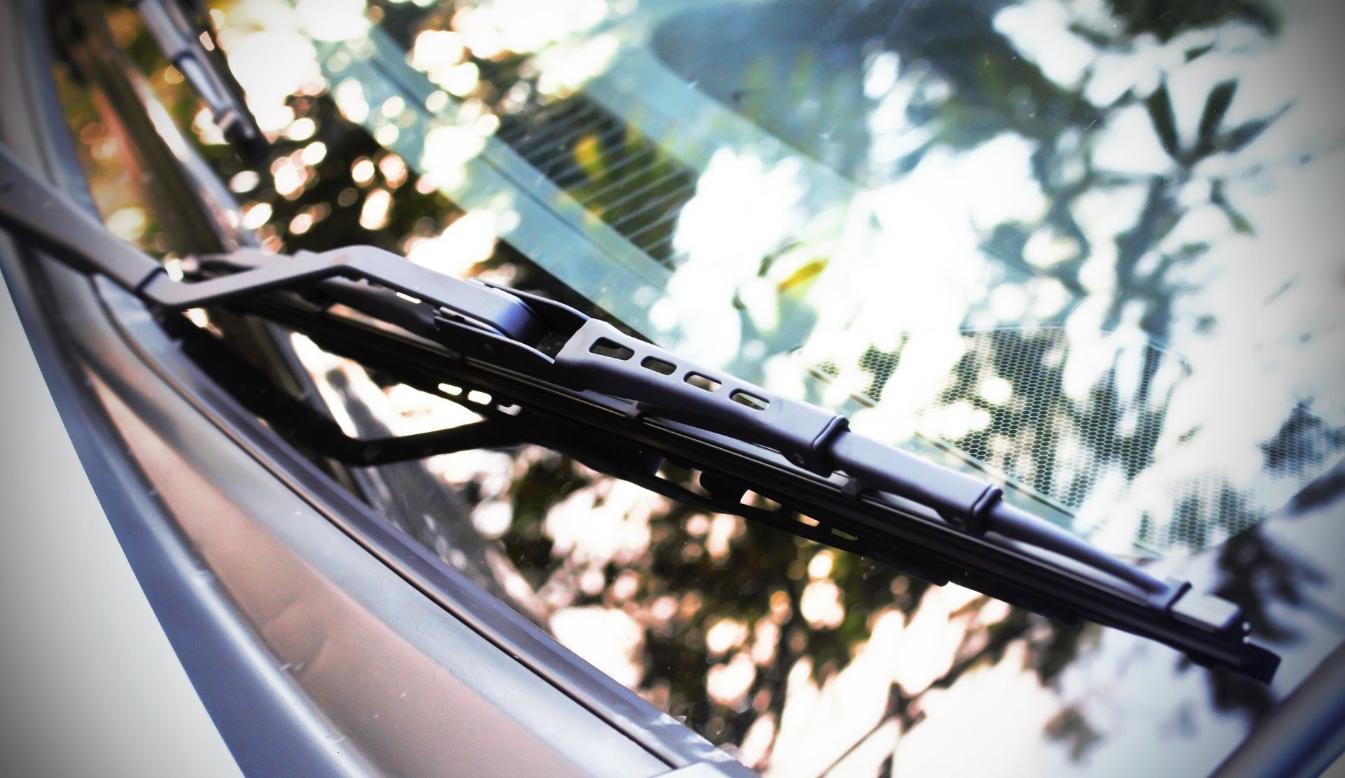 Car windshield wiper resting on glass with blurred trees reflected in the background