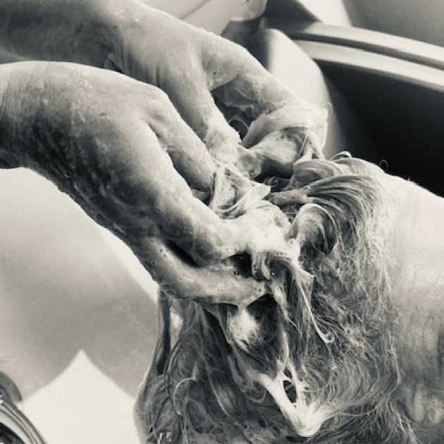 hair-shampooed-with-visible-soap-suds.