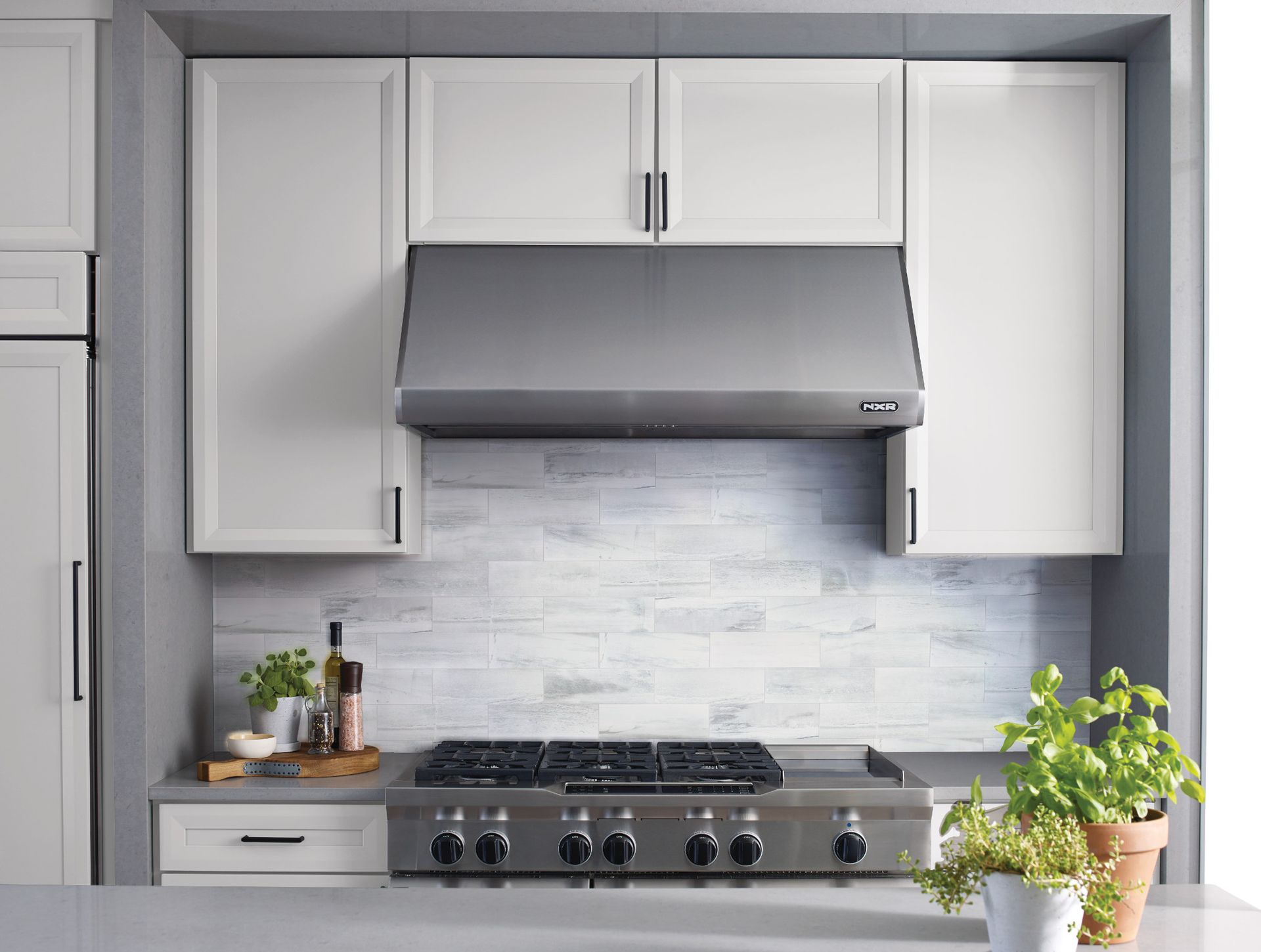 Modern kitchen with white cabinets, stainless steel range hood, gas stove, and potted plants on the counter