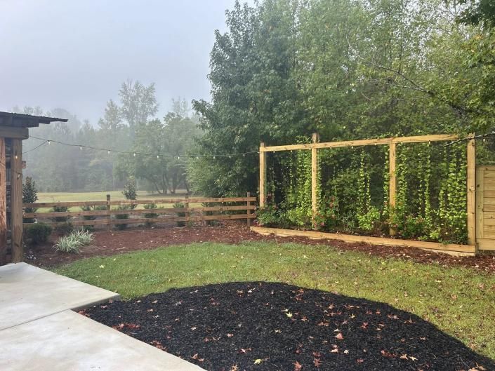 Foggy backyard garden with wooden trellis, fence, and patchy green grass beside a patio