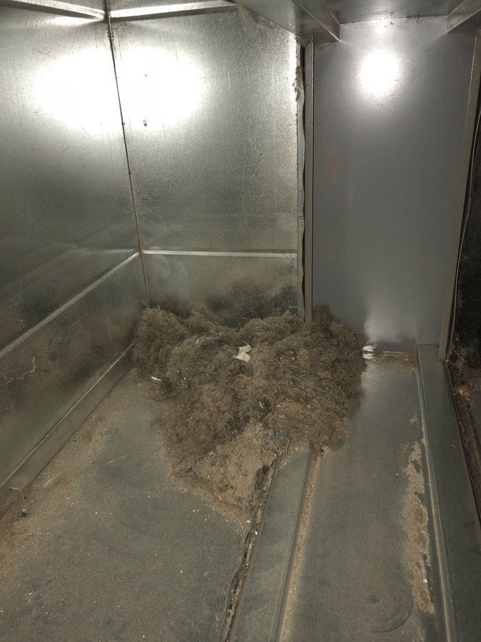Expert Air Duct Cleaning for a Healthier Home