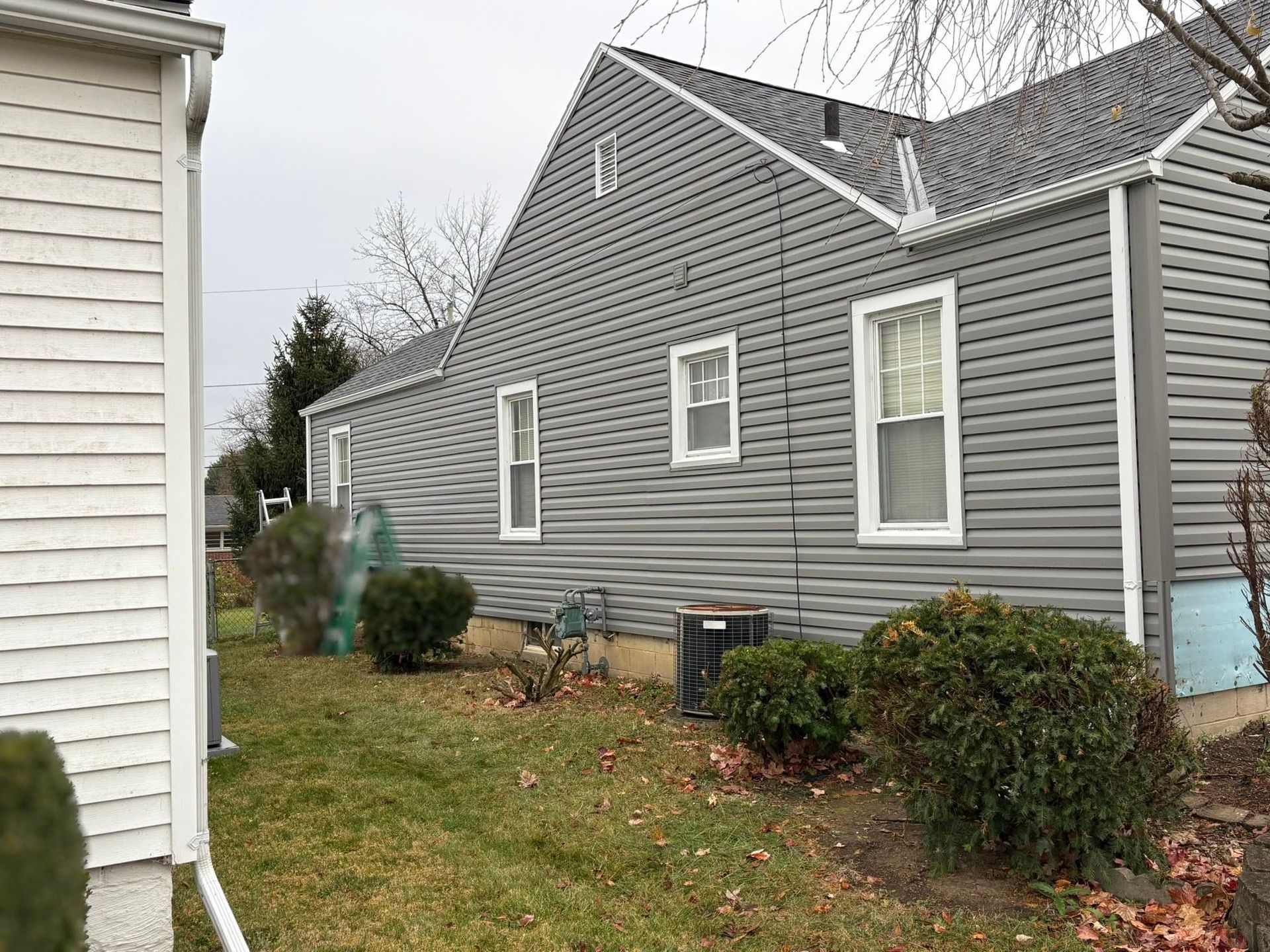Gray-sided house with white-trimmed windows and shrubs along a narrow side yard.