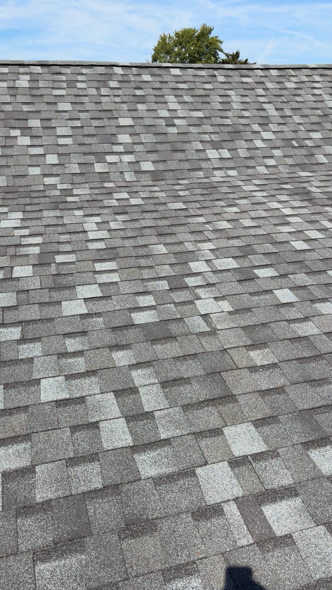 Gray shingled roof with a few trees visible against a blue sky at the top edge