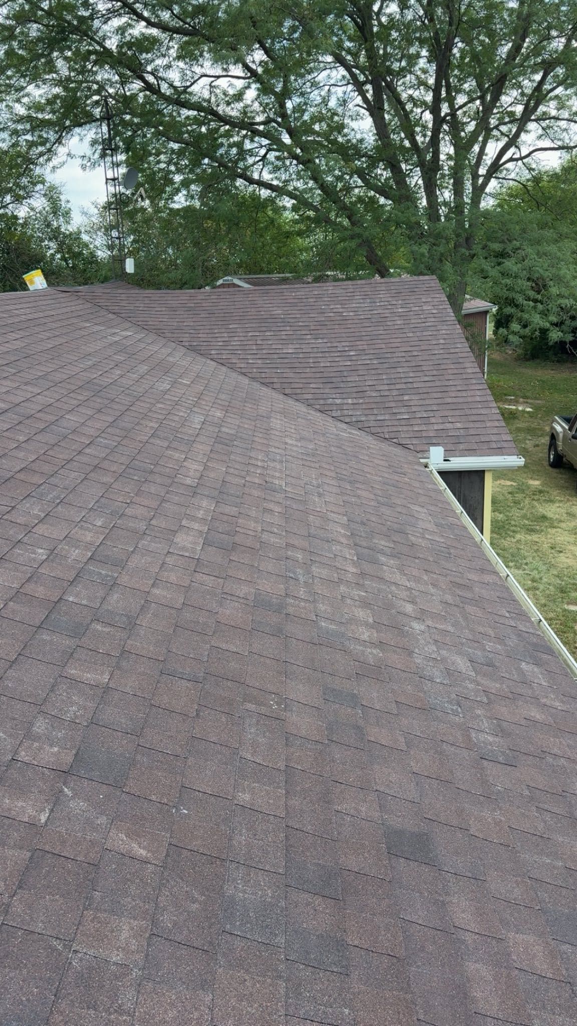 Brown shingle roof viewed from above, with trees and a grassy yard in the background