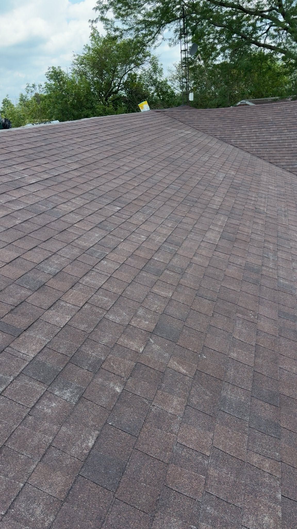 Brown shingled roof viewed from below, with trees at the top edge and a small yellow object near the ridge