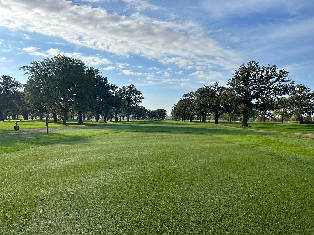 A golf course with trees in the background and a golf cart in the foreground.