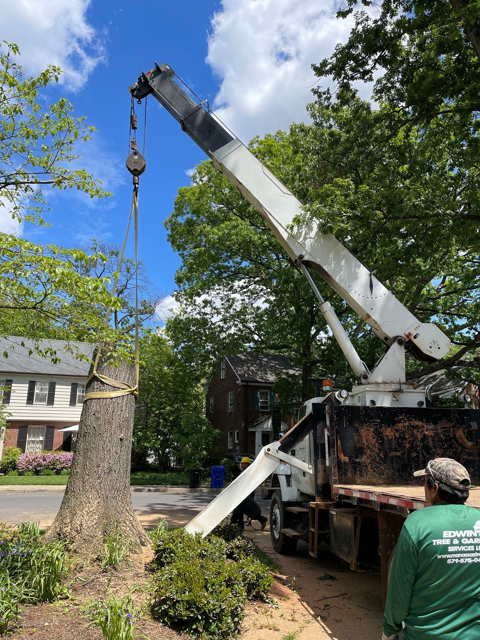 Crane lifting a tree trunk; a worker in green shirt watches. Blue sky, residential street.