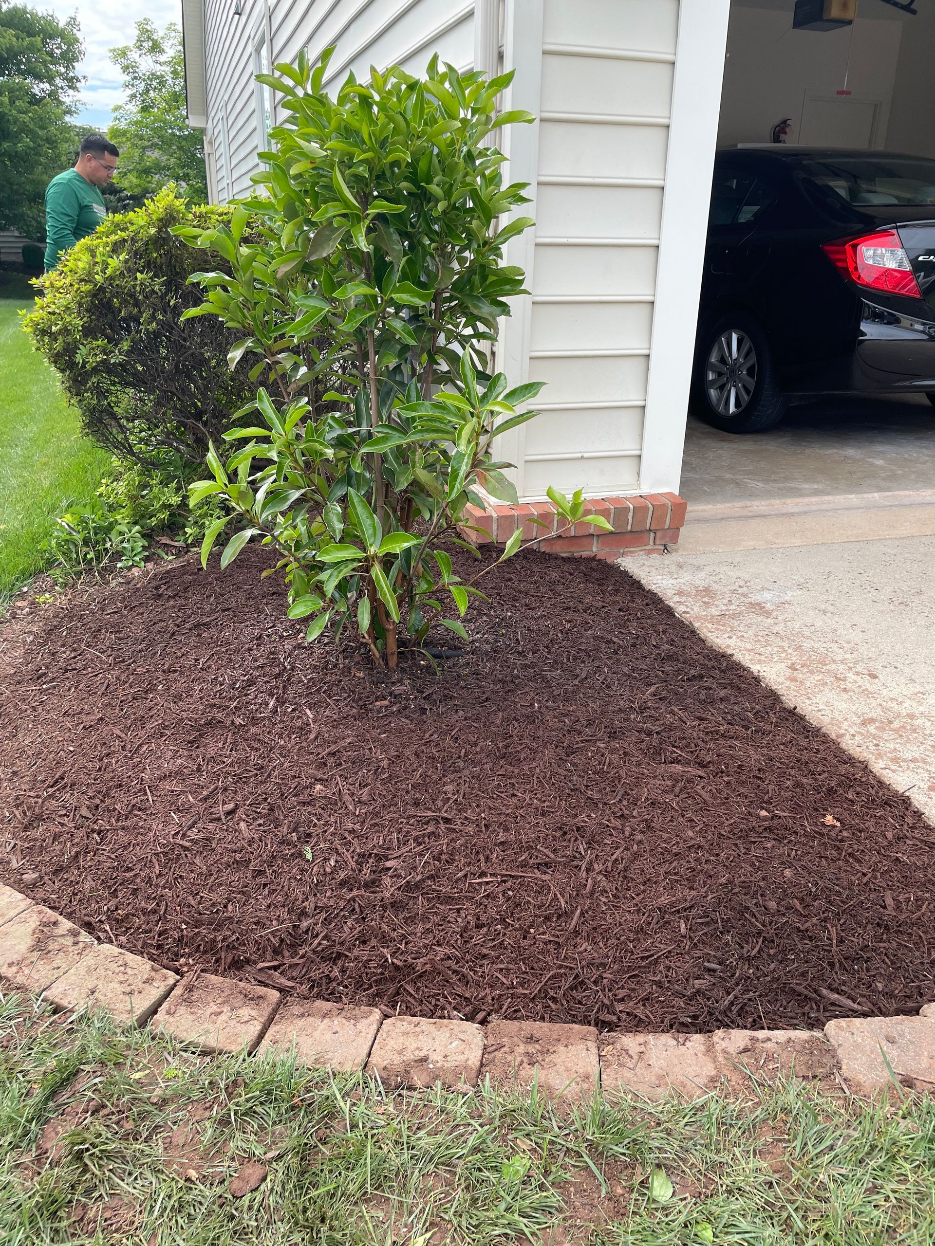 Landscaped flower bed with dark brown mulch, brick border, and shrubs next to a garage.