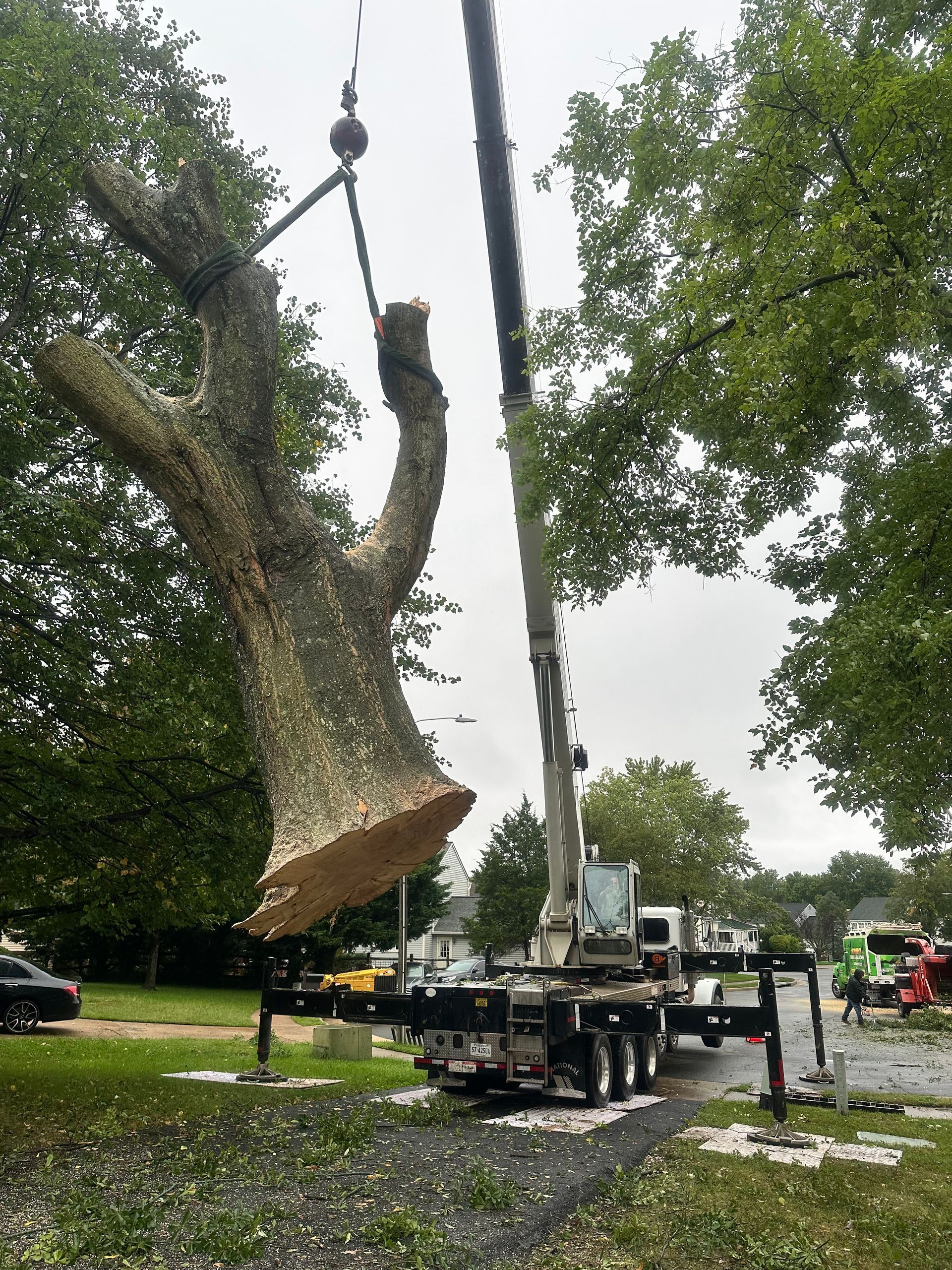 Crane lifting a large tree trunk section, likely for removal, in a yard.