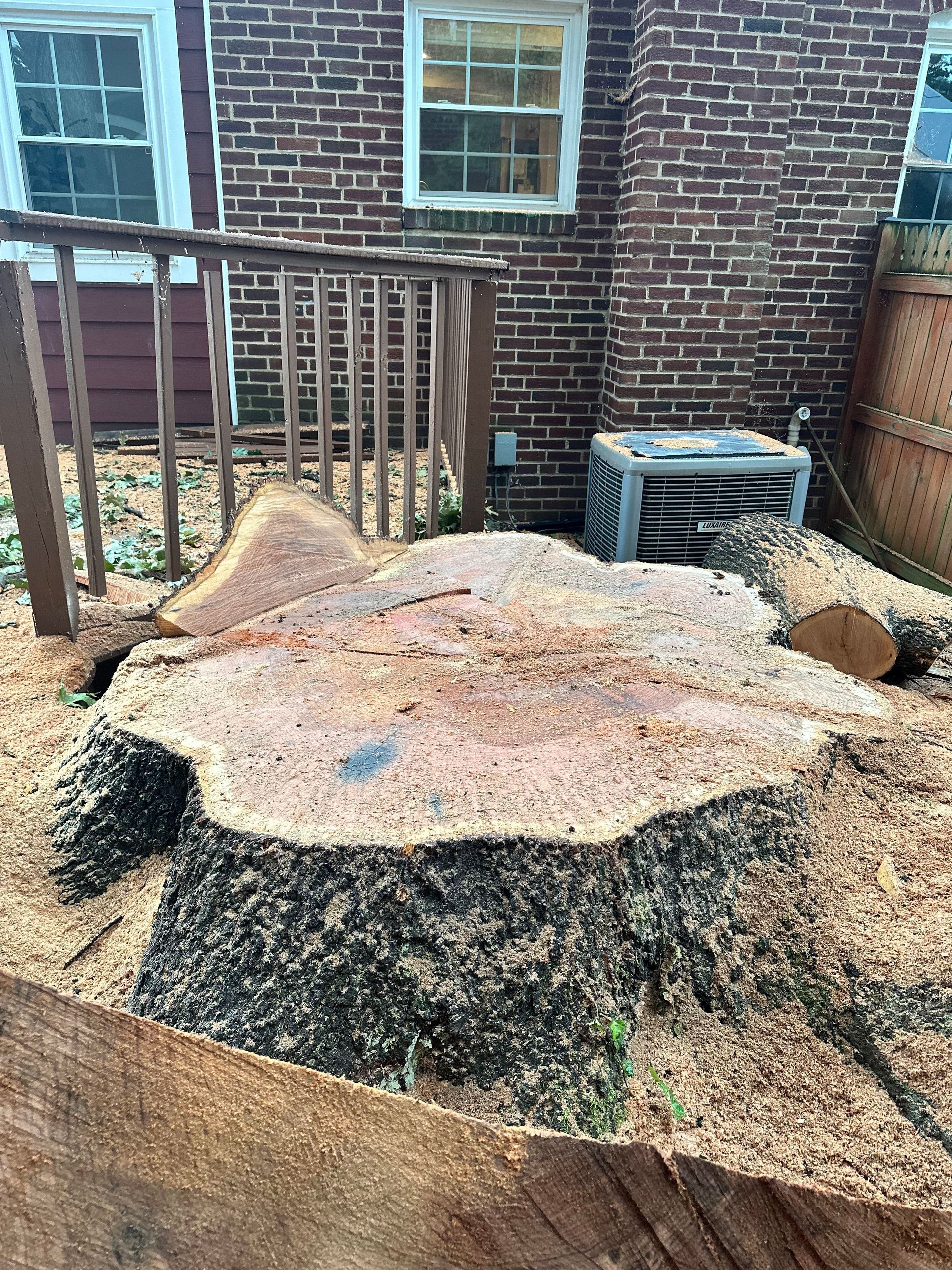 Tree stump surrounded by sawdust near a brick building and a deck.