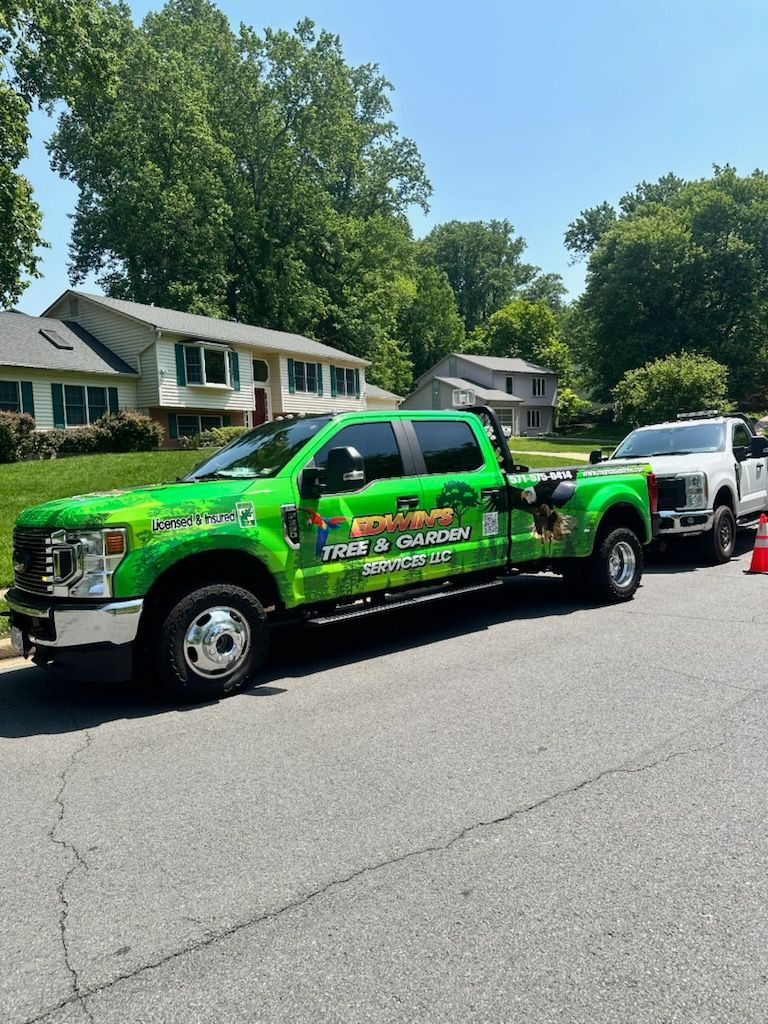 Green landscaping truck and white truck parked on a residential street.