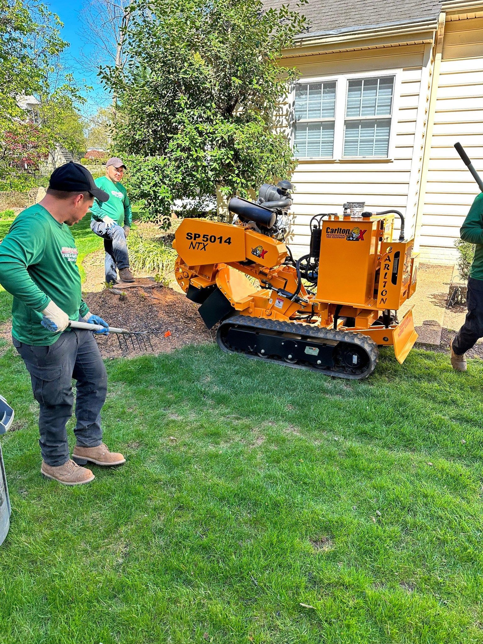 Workers using a stump grinder near a building. One worker in green shirt watches.