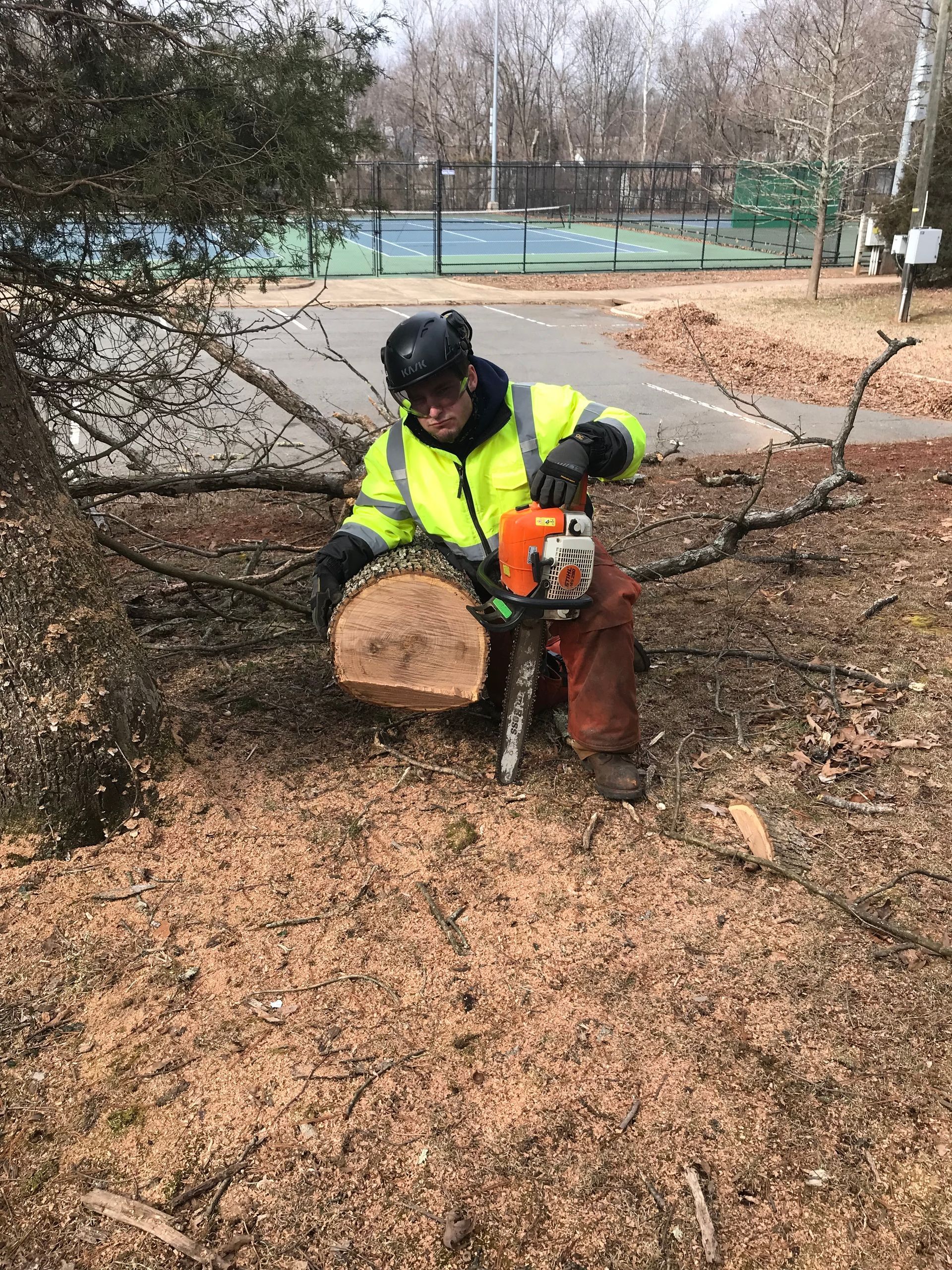 Person in safety vest using a chainsaw to cut a log outdoors, surrounded by wood chips.