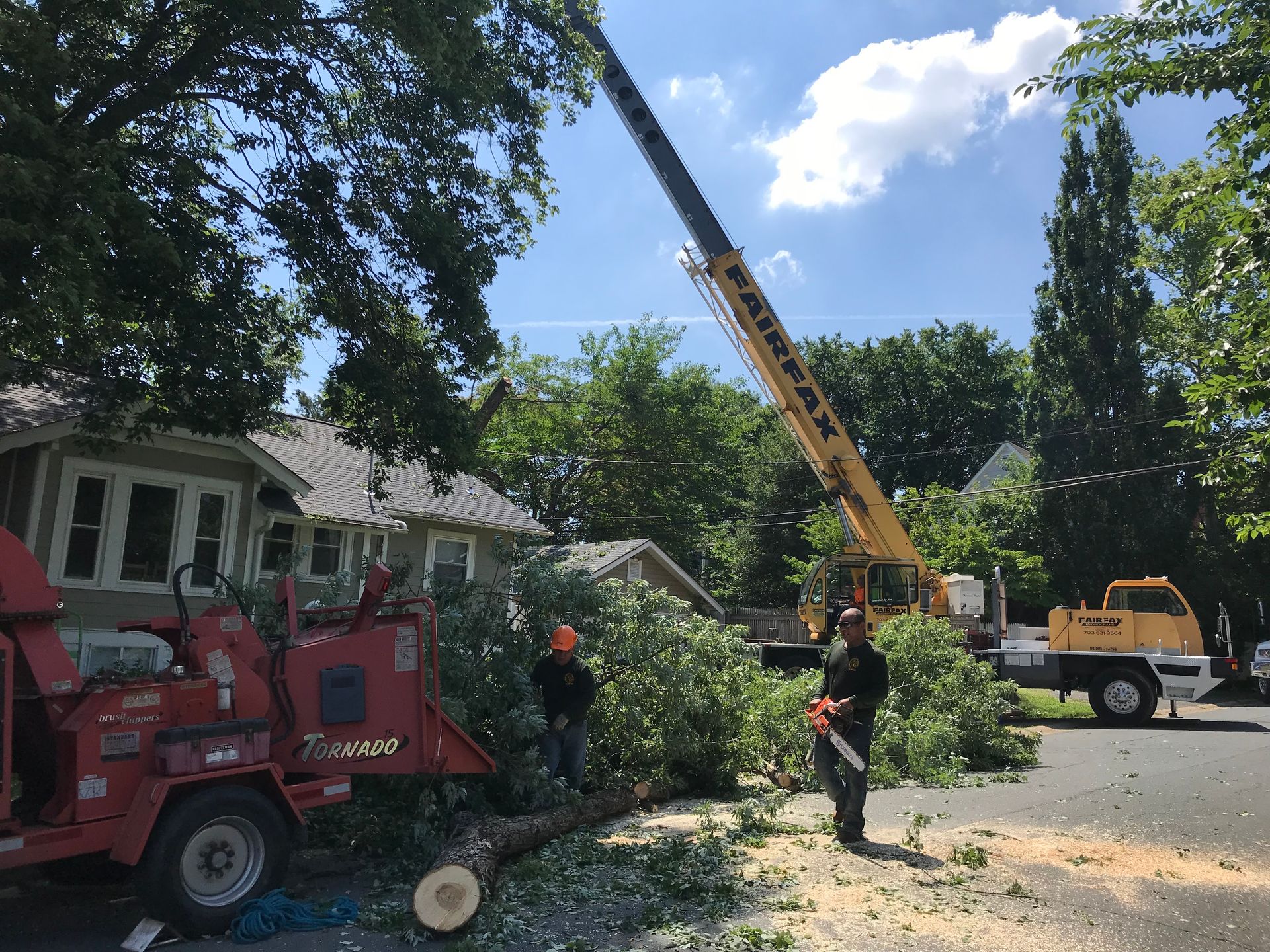 Tree removal: Workers with chainsaws and chipper, crane over a house. Sunny day.