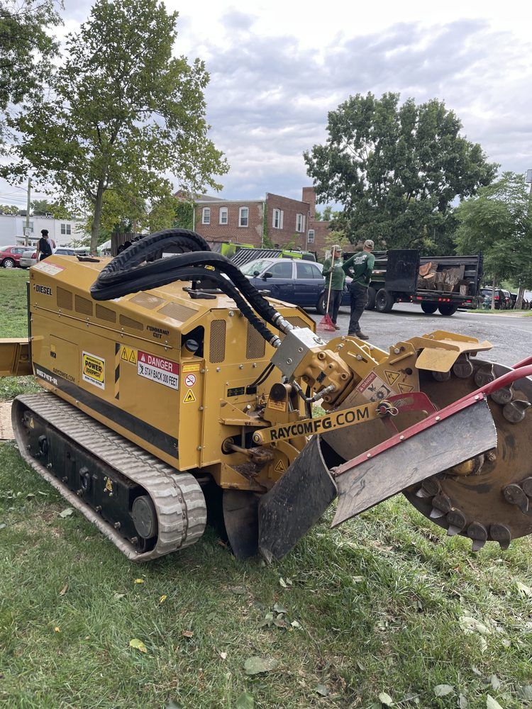 Yellow stump grinder on tracks grinding a tree stump in a grassy area, people in background.