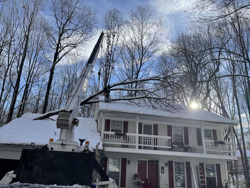 Crane removing a tree branch from the snowy roof of a two-story white house with a porch; sunny day.