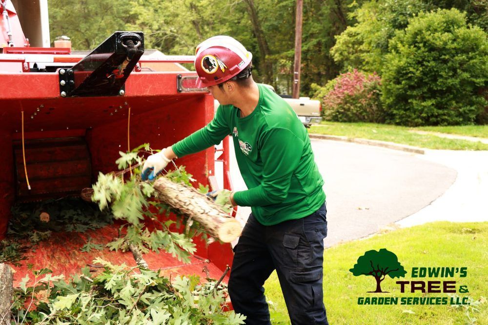 Man in green shirt feeding tree branch into wood chipper outdoors.
