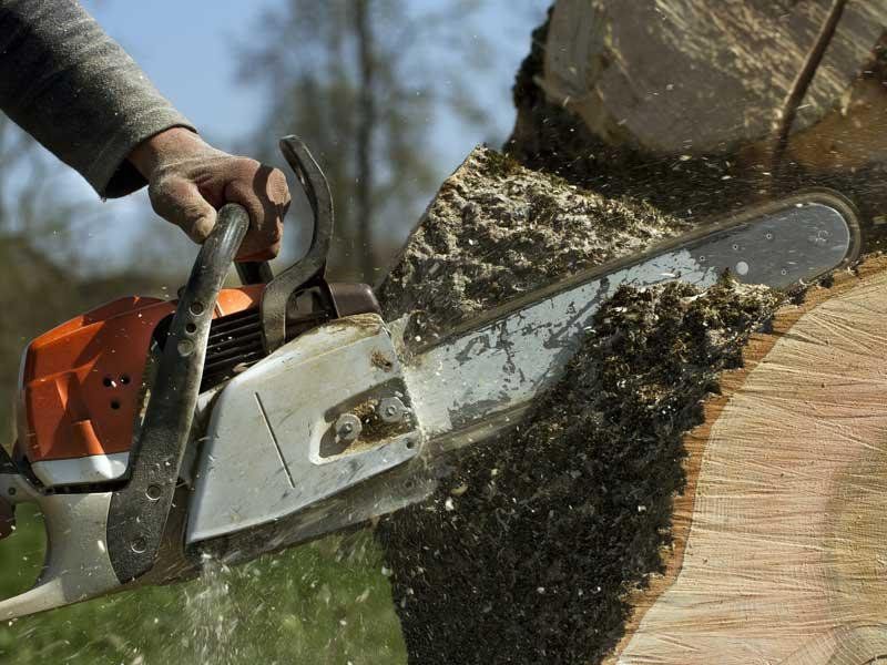Person using a chainsaw to cut a log, wood shavings flying, close-up.