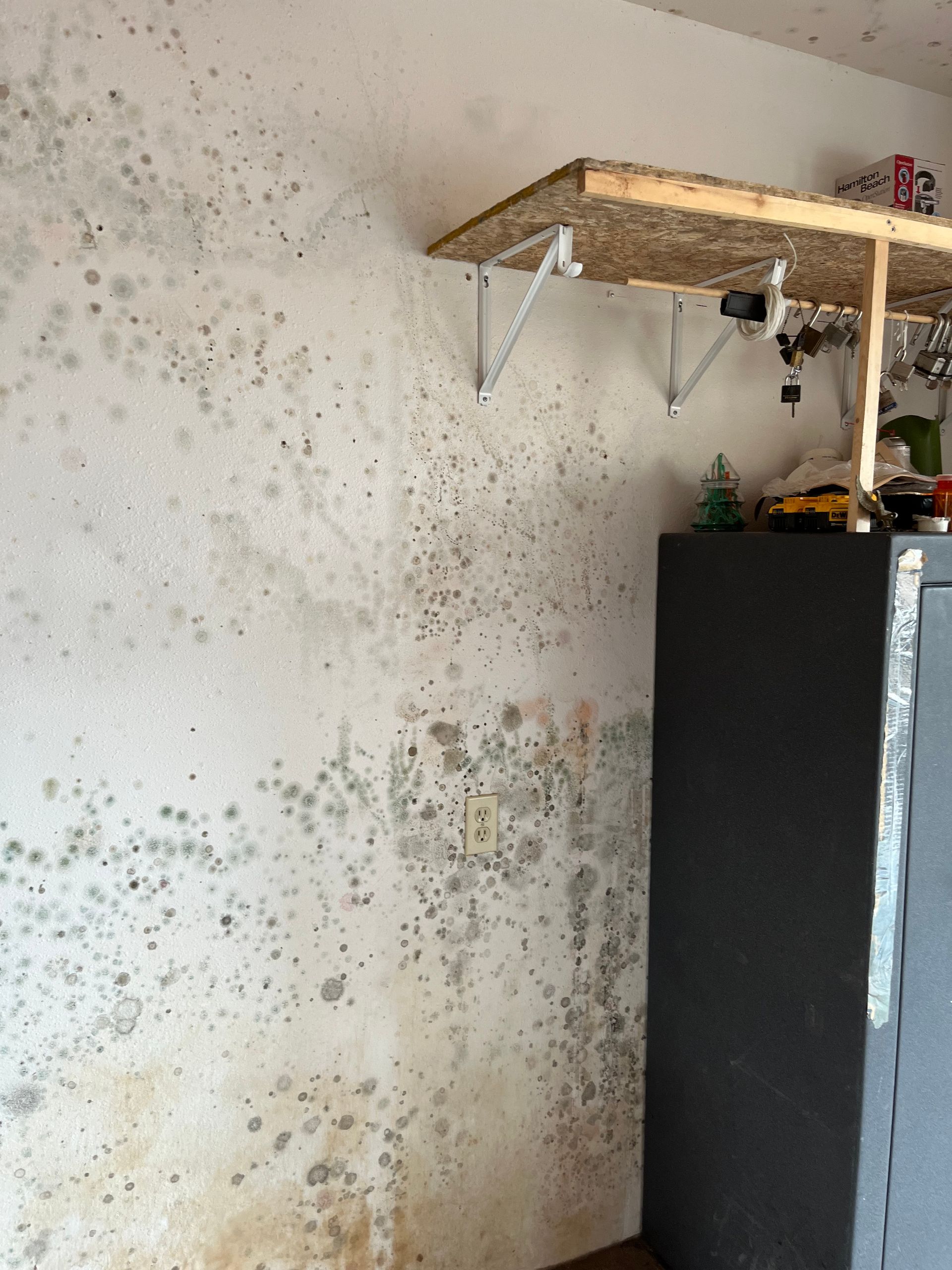 Mold growth on an interior wall with a shelf and cabinet.