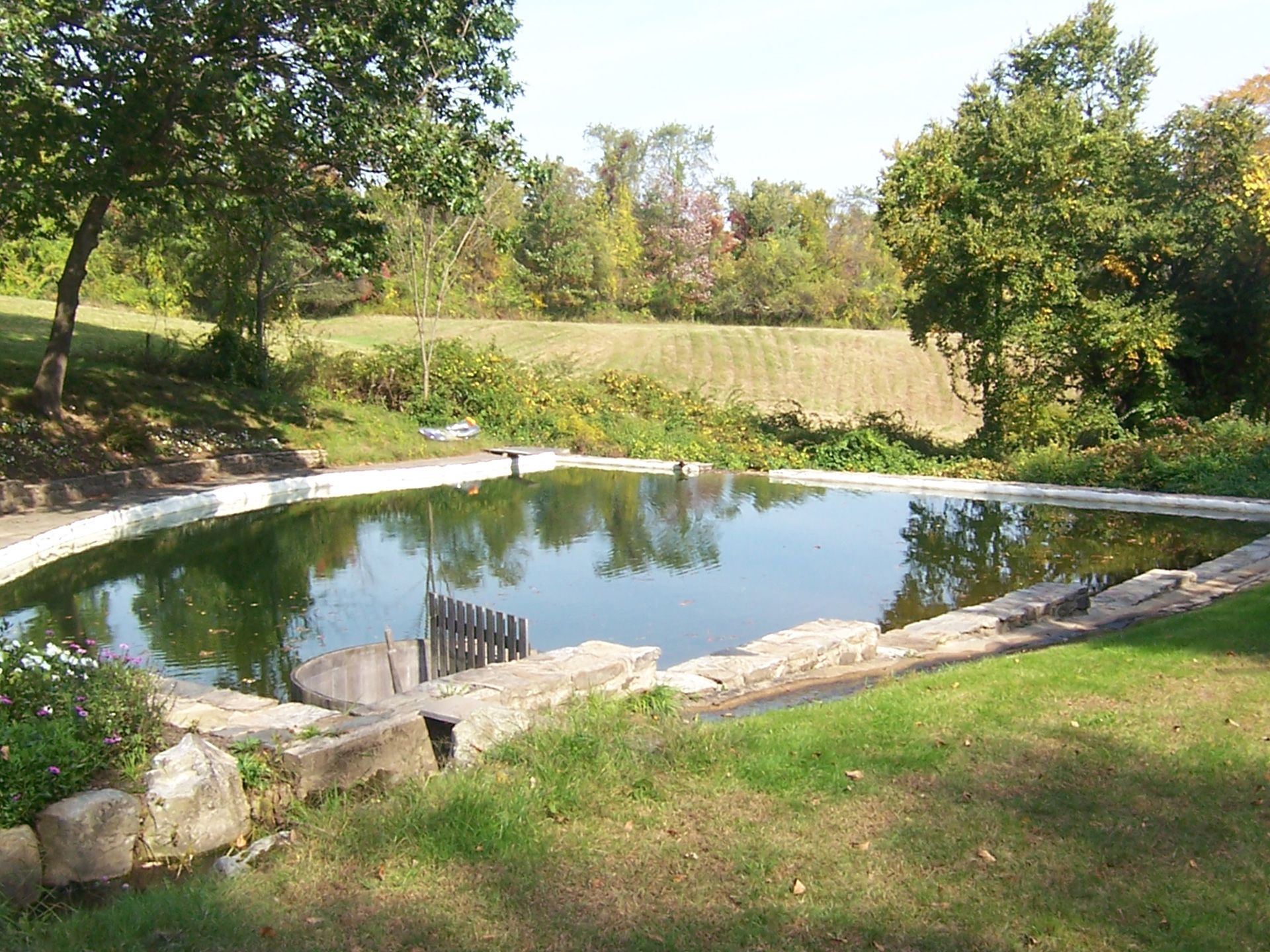 Free Form Pools 8
