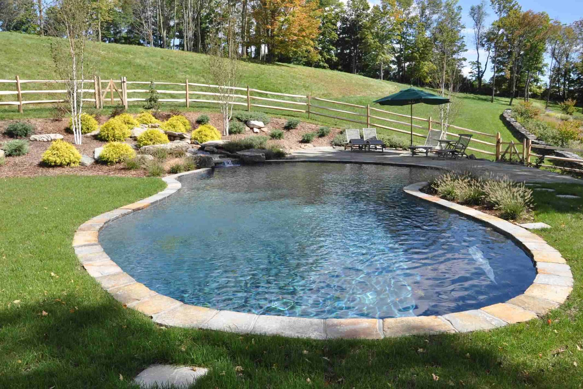 FREEFORM POOLS