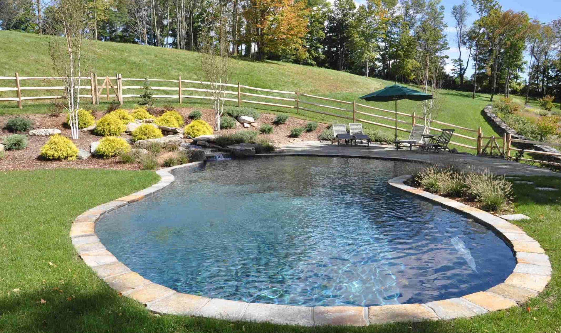 Free Form Pools 1