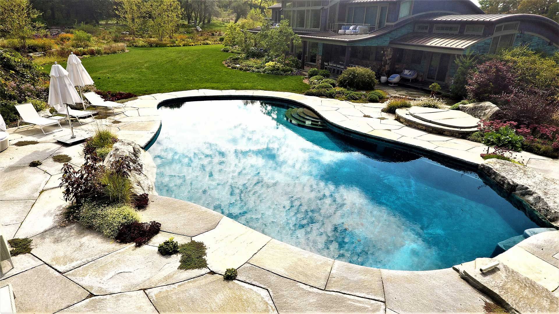 Free Form Pools 5